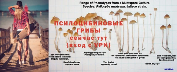 кристаллы Горняк